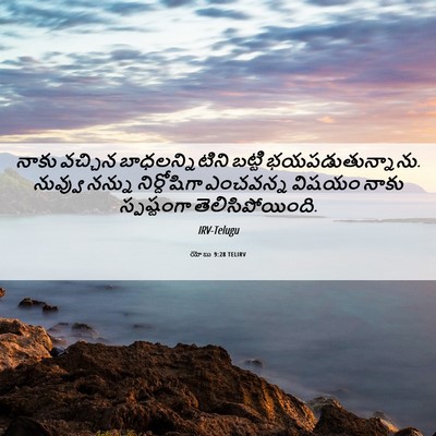 Picture 06 - యోబు 9:28 TELIRV - నాకు వచ్చిన - Bible Verse Picture