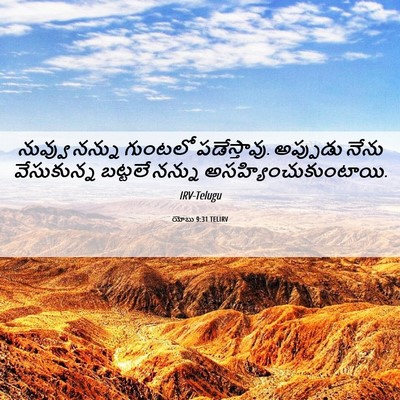Picture 06 - యోబు 9:31 TELIRV - నువ్వు నన్ను - Bible Verse Picture