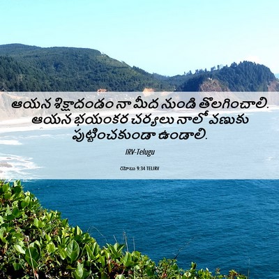 Picture 06 - యోబు 9:34 TELIRV - ఆయన శిక్షాదండం నా - Bible Verse Picture