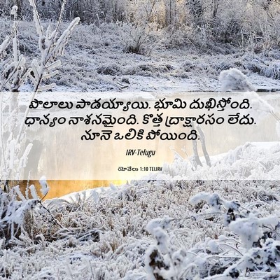 Picture 06 - యోవేలు 1:10 TELIRV - పొలాలు పాడయ్యాయి. - Bible Verse Picture