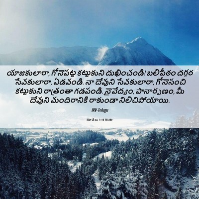 Picture 06 - యోవేలు 1:13 TELIRV - యాజకులారా, - Bible Verse Picture