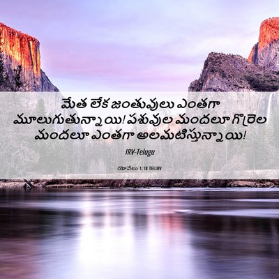 Picture 06 - యోవేలు 1:18 TELIRV - మేత లేక జంతువులు - Bible Verse Picture