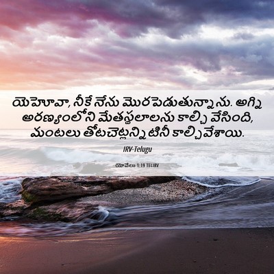 Picture 06 - యోవేలు 1:19 TELIRV - యెహోవా, నీకే నేను - Bible Verse Picture