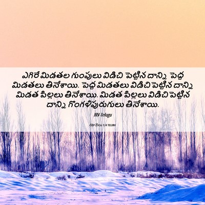 Picture 06 - యోవేలు 1:4 TELIRV - ఎగిరే మిడతల - Bible Verse Picture
