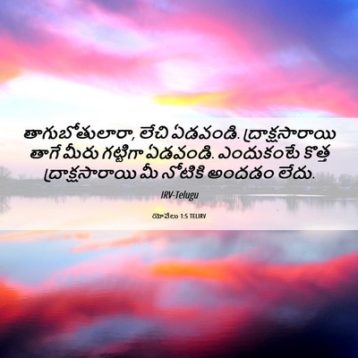 Picture 06 - యోవేలు 1:5 TELIRV - తాగుబోతులారా, - Bible Verse Picture