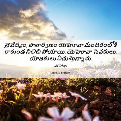 Picture 06 - యోవేలు 1:9 TELIRV - నైవేద్యం, - Bible Verse Picture