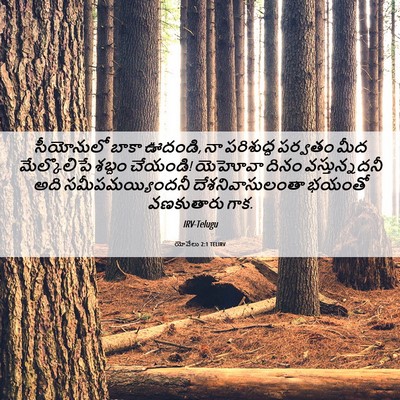 Picture 06 - యోవేలు 2:1 TELIRV - సీయోనులో బాకా - Bible Verse Picture