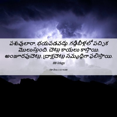 Picture 06 - యోవేలు 2:22 TELIRV - పశువులారా, - Bible Verse Picture