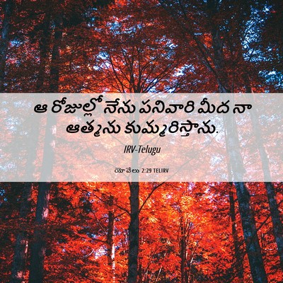 Picture 06 - యోవేలు 2:29 TELIRV - ఆ రోజుల్లో నేను - Bible Verse Picture