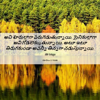 Picture 06 - యోవేలు 2:7 TELIRV - అవి శూరుల్లాగా - Bible Verse Picture