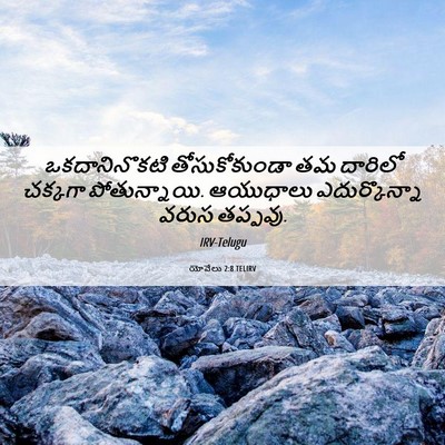 Picture 06 - యోవేలు 2:8 TELIRV - ఒకదానినొకటి - Bible Verse Picture