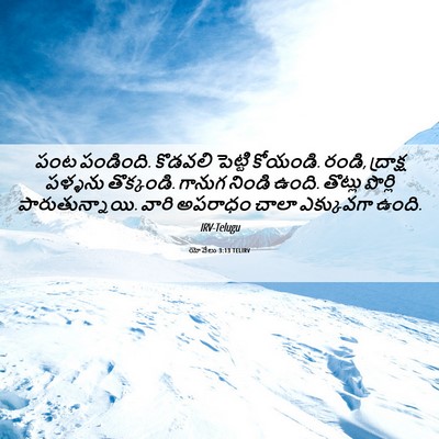 Picture 06 - యోవేలు 3:13 TELIRV - పంట పండింది. - Bible Verse Picture