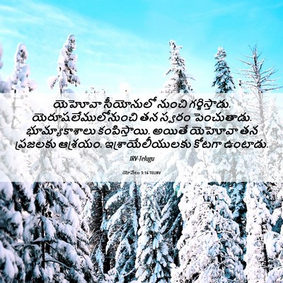 Picture 06 - యోవేలు 3:16 TELIRV - యెహోవా సీయోనులో - Bible Verse Picture