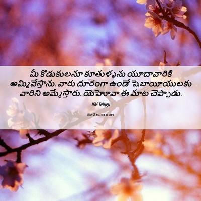 Picture 06 - యోవేలు 3:8 TELIRV - మీ కొడుకులనూ - Bible Verse Picture