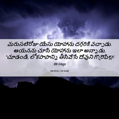 Picture 06 - యోహాను 1:29 TELIRV - మరుసటిరోజు యేసు - Bible Verse Picture