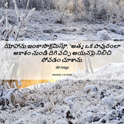 Picture 06 - యోహాను 1:32 TELIRV - యోహాను ఇంకా - Bible Verse Picture