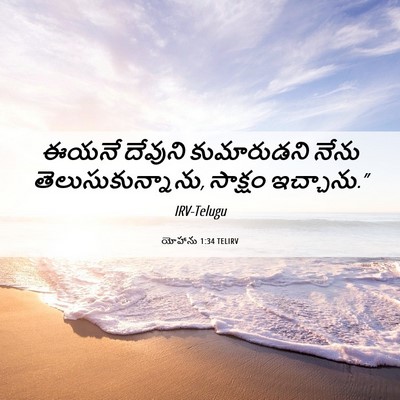 Picture 06 - యోహాను 1:34 TELIRV - ఈయనే దేవుని - Bible Verse Picture