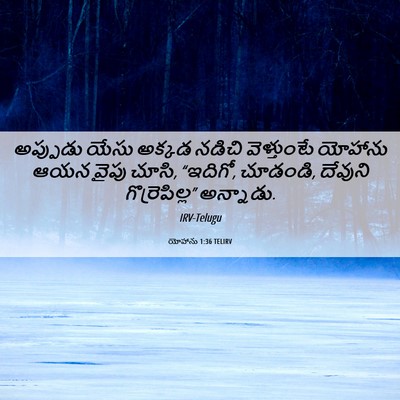 Picture 06 - యోహాను 1:36 TELIRV - అప్పుడు యేసు - Bible Verse Picture