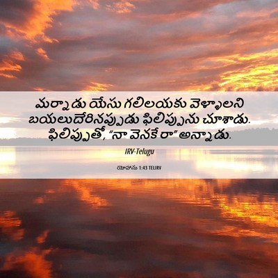 Picture 06 - యోహాను 1:43 TELIRV - మర్నాడు యేసు - Bible Verse Picture