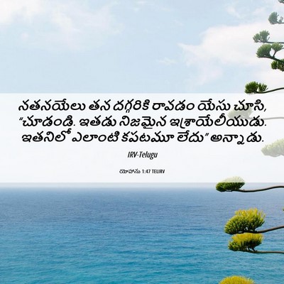 Picture 06 - యోహాను 1:47 TELIRV - నతనయేలు తన - Bible Verse Picture