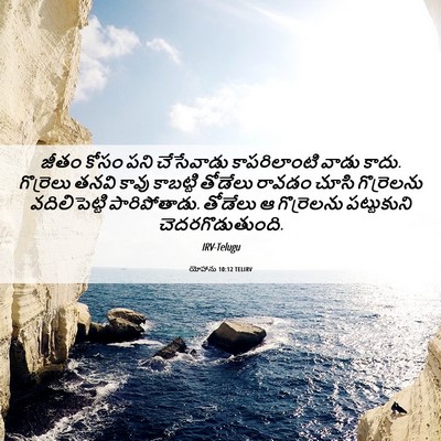 Picture 06 - యోహాను 10:12 TELIRV - జీతం కోసం పని - Bible Verse Picture