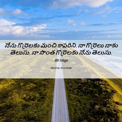 Picture 06 - యోహాను 10:14 TELIRV - నేను గొర్రెలకు - Bible Verse Picture