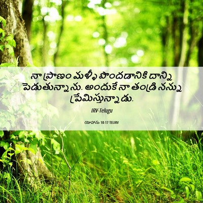 Picture 06 - యోహాను 10:17 TELIRV - నా ప్రాణం మళ్ళీ - Bible Verse Picture