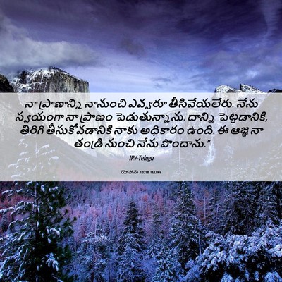 Picture 06 - యోహాను 10:18 TELIRV - నా ప్రాణాన్ని - Bible Verse Picture