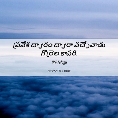 Picture 06 - యోహాను 10:2 TELIRV - ప్రవేశ ద్వారం - Bible Verse Picture