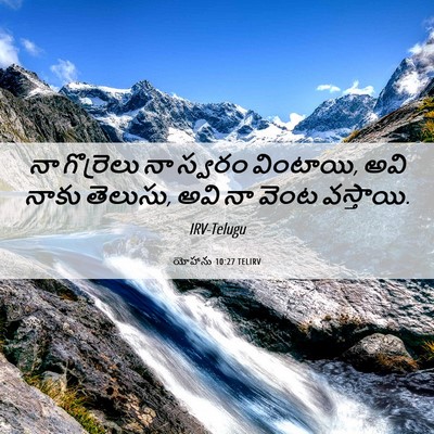 Picture 06 - యోహాను 10:27 TELIRV - నా గొర్రెలు నా - Bible Verse Picture