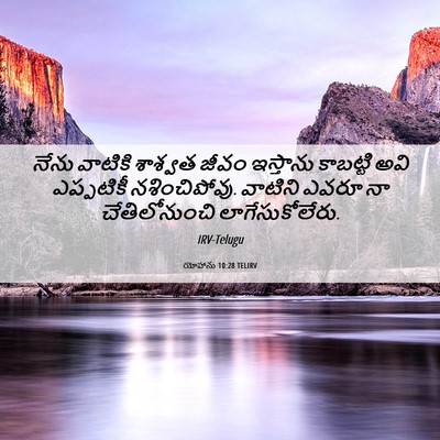 Picture 06 - యోహాను 10:28 TELIRV - నేను వాటికి - Bible Verse Picture