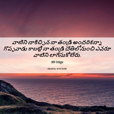 Picture 06 - యోహాను 10:29 TELIRV - వాటిని నాకిచ్చిన - Bible Verse Picture