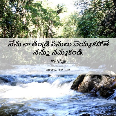 Picture 06 - యోహాను 10:37 TELIRV - నేను నా తండ్రి - Bible Verse Picture