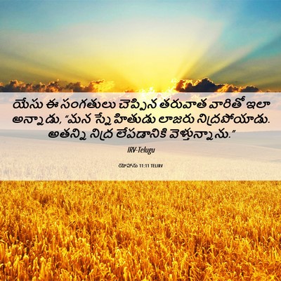 Picture 06 - యోహాను 11:11 TELIRV - యేసు ఈ సంగతులు - Bible Verse Picture