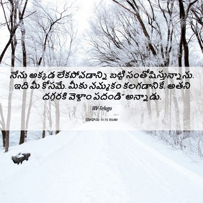 Picture 06 - యోహాను 11:15 TELIRV - నేను అక్కడ - Bible Verse Picture