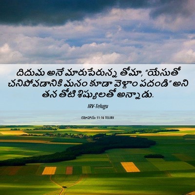 Picture 06 - యోహాను 11:16 TELIRV - దిదుమ అనే - Bible Verse Picture
