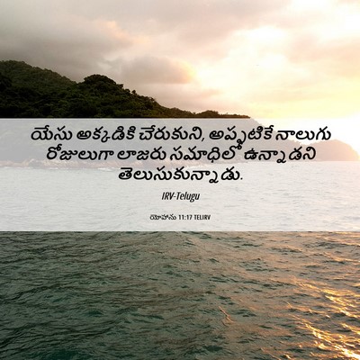 Picture 06 - యోహాను 11:17 TELIRV - యేసు అక్కడికి - Bible Verse Picture