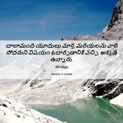 Picture 06 - యోహాను 11:19 TELIRV - చాలామంది యూదులు - Bible Verse Picture