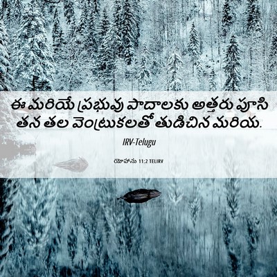 Picture 06 - యోహాను 11:2 TELIRV - ఈ మరియే ప్రభువు - Bible Verse Picture