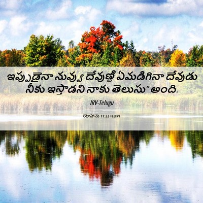 Picture 06 - యోహాను 11:22 TELIRV - ఇప్పుడైనా నువ్వు - Bible Verse Picture