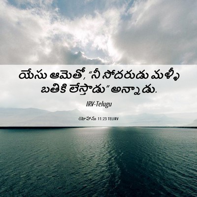 Picture 06 - యోహాను 11:23 TELIRV - యేసు ఆమెతో, “నీ - Bible Verse Picture