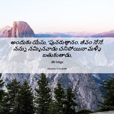 Picture 06 - యోహాను 11:25 TELIRV - అందుకు యేసు, - Bible Verse Picture