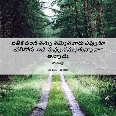 Picture 06 - యోహాను 11:26 TELIRV - బతికి ఉండి నన్ను - Bible Verse Picture