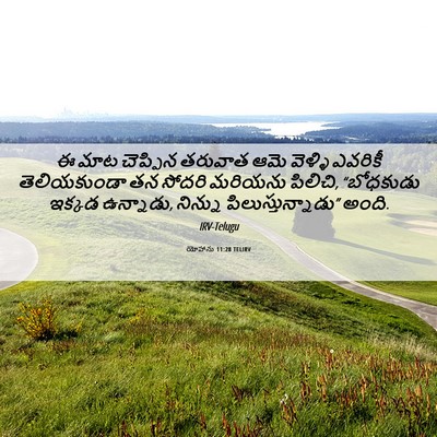 Picture 06 - యోహాను 11:28 TELIRV - ఈ మాట చెప్పిన - Bible Verse Picture