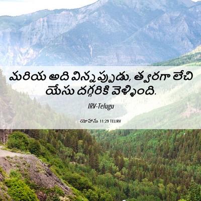 Picture 06 - యోహాను 11:29 TELIRV - మరియ అది - Bible Verse Picture