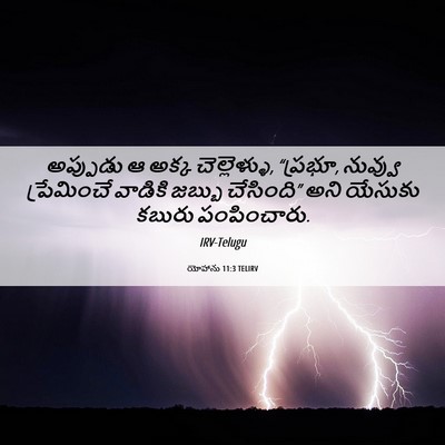 Picture 06 - యోహాను 11:3 TELIRV - అప్పుడు ఆ అక్క - Bible Verse Picture