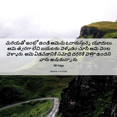 Picture 06 - యోహాను 11:31 TELIRV - మరియతో ఇంట్లో - Bible Verse Picture