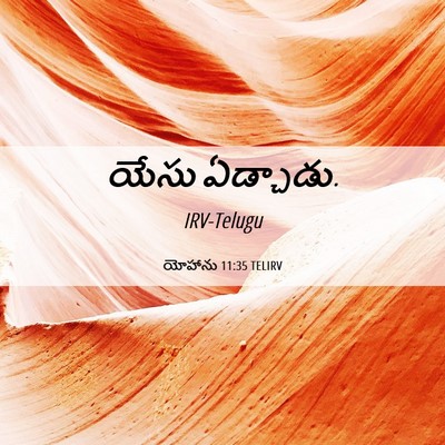 Picture 06 - యోహాను 11:35 TELIRV - యేసు - Bible Verse Picture