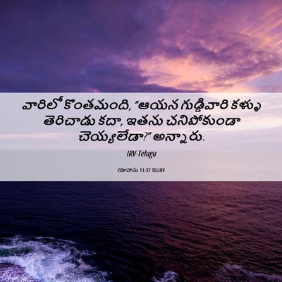 Picture 06 - యోహాను 11:37 TELIRV - వారిలో కొంతమంది, - Bible Verse Picture
