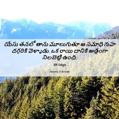 Picture 06 - యోహాను 11:38 TELIRV - యేసు తనలో తాను - Bible Verse Picture